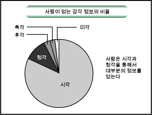 감각 정보의 비율