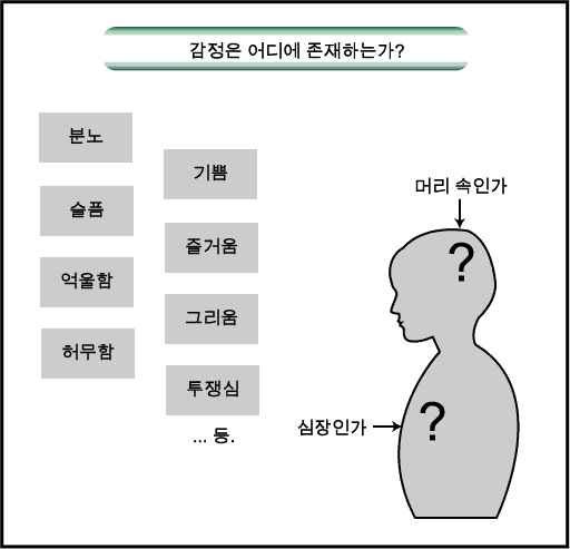 감정과 뇌의 메커니즘