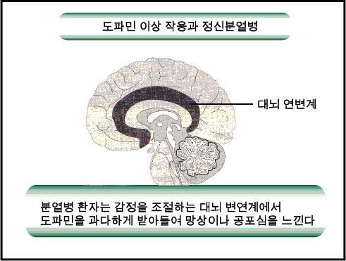 도파민과 마음의 병