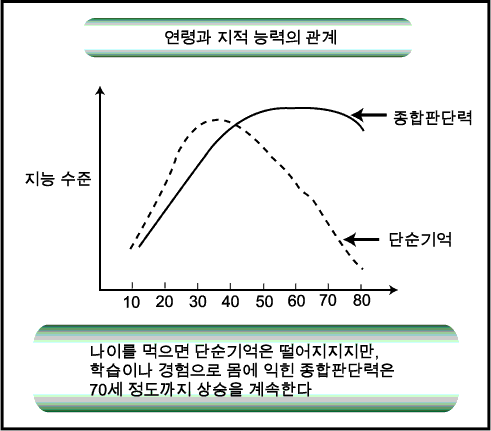 연령과 지적 능력의 관계 곡선